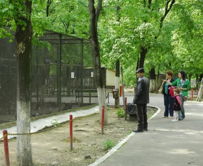 Copiii vor putea să se joace într-o mini-junglă, la Grădina Zoologică din Oradea